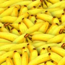banan.ru