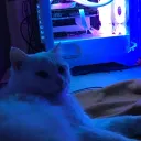 Заячья норка