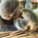 big chill Discord server icon