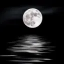 Moonlight Esports