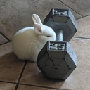 Austrisms Discord server icon