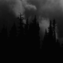 Discovery icon for /vinn (huge rvmp) Discord server