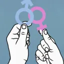 Trans and Detrans Support