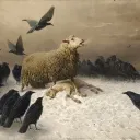 Black Sheep's Pasture🐏