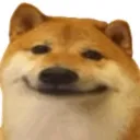 Doge's Kennel's icon