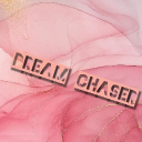 DREAM CHASER TEMU/SHEIN