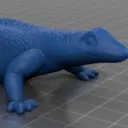 Everything Abronia