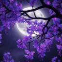 ˗ˏˋ ⋆. 𝐿𝑎𝑣𝑒𝑛𝑑𝑒𝑟 𝑀𝑜𝑜... Discord Server Icon