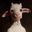 The land of The Goat