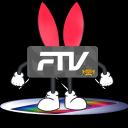 Grupo FTV