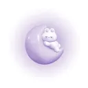 beyond the veil