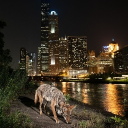 Blood Solstice: The Experiment Discord server icon