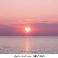 🌇 🎀 𝒮𝓊𝓃𝒮𝑒𝓉 🎀 🌇 — мониторинг Discord сервера, статистика и рейтинг