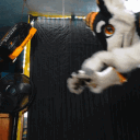 Sox's Silly Discord Server