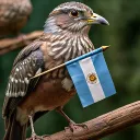 𝔸𝕣𝕘 𝕊𝕖𝕣𝕧𝕖𝕣 🇦🇷
