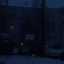 TREEPSIDhouse