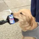 daniel’s news conference