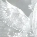 ₍^. .^₎⟆      ⁀➴ ︵︵     / 𝗣𝘂𝗿𝗶𝘁𝘆 ⸝⸝  𝗱𝗷𝟮𝗹 .ᐟ