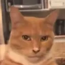 Another_Discord