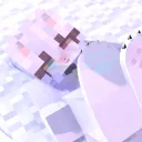 PAWB.SERVER