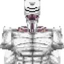 Spring’s Server icon