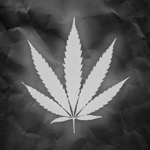 Lessten | Picture — мониторинг Discord сервера, статистика и рейтинг