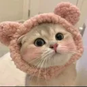 Mochi Café