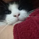 Servidor de Kaori_Game