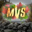 MultiVersus - New England