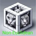 Non-Euclidean