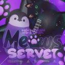 •⁀➷ Meows🐾