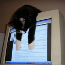 [ᎢꭼꮪꭲᏚꭼꭱꮩꭼꭱ] Discord server icon