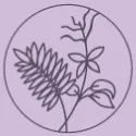 Lavender Lounge