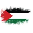 Carlisle with Palestine