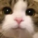 ロケリ廃人部