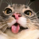 ☾✦ FurRealm — RP✦☽