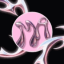 ★ MDRY Community ★