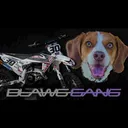 BLAWG GANG