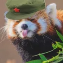 panda pal club