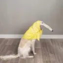 Esperborzoi's Snoot Emporium