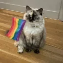 ❤🏳⚧🏳🌈Be gayful🏳🌈🏳⚧❤