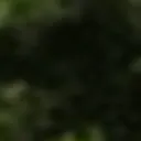 SHUT THE FUCK UP MR KRABS SHUT THE FUCK UP