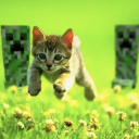 thn d and frine icon