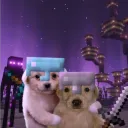 ПАРАША Discord server icon