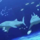 The Ocean
