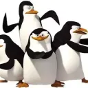 SN