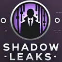 Shadow leaks - E8 2026