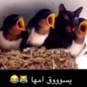 What's the point anymore