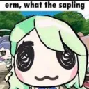 bleh