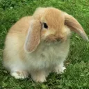 What's the point anymore